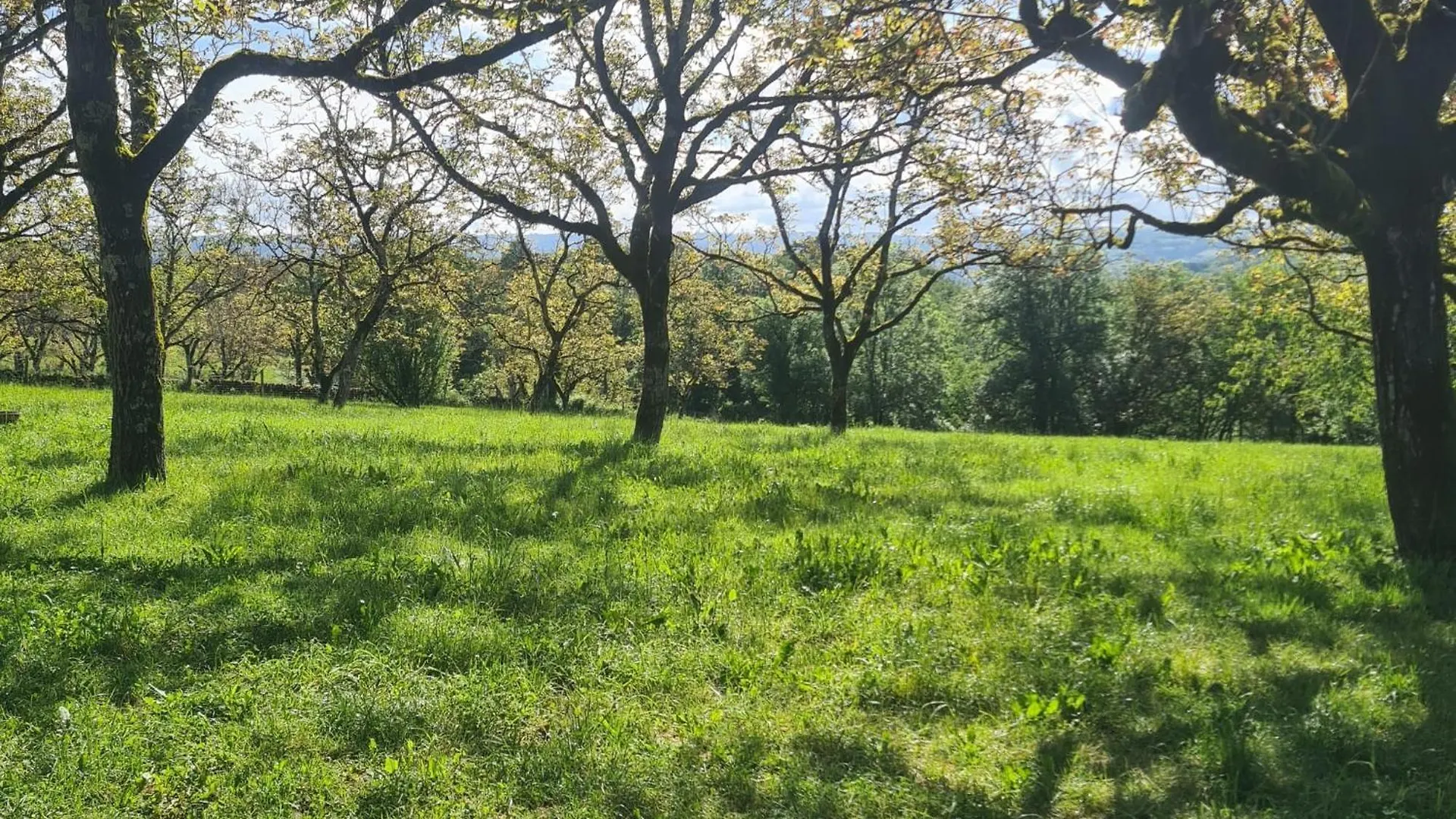 Sous Les Noyers, Autoire Villa
